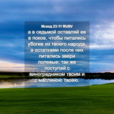 Picture 04 - Исход 23:11 RUSV - а в седьмой оставляй ее в - Bible Verse Picture