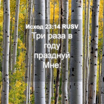Picture 04 - Исход 23:14 RUSV - Три раза в году празднуй - Bible Verse Picture