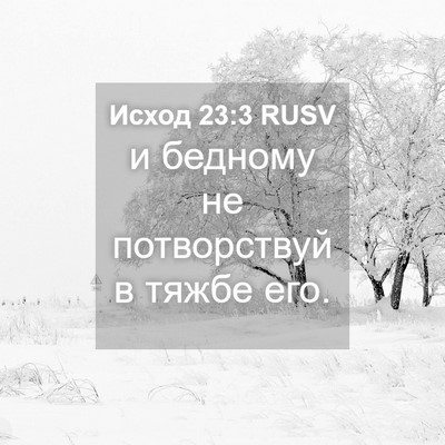 Picture 04 - Исход 23:3 RUSV - и бедному не потворствуй в - Bible Verse Picture