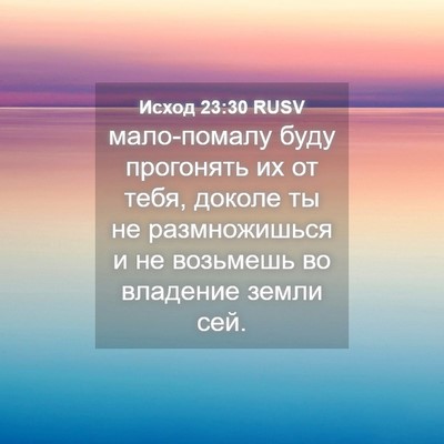 Picture 04 - Исход 23:30 RUSV - мало-помалу буду прогонять - Bible Verse Picture