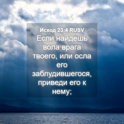 Picture 04 - Исход 23:4 RUSV - Если найдешь вола врага - Bible Verse Picture