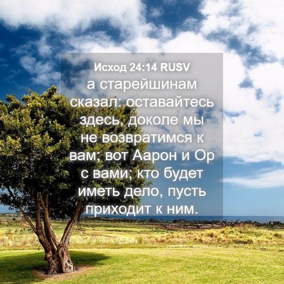 Picture 04 - Исход 24:14 RUSV - а старейшинам сказал: - Bible Verse Picture