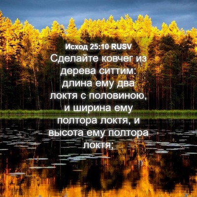 Picture 04 - Исход 25:10 RUSV - Сделайте ковчег из дерева - Bible Verse Picture