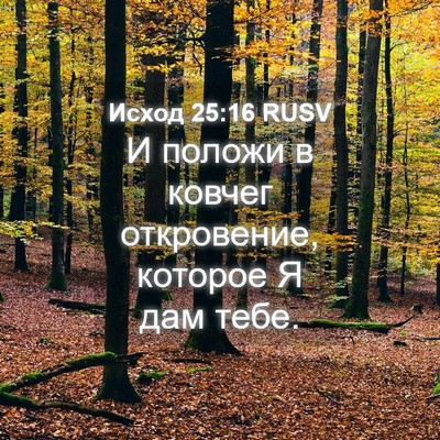 Picture 04 - Исход 25:16 RUSV - И положи в ковчег - Bible Verse Picture