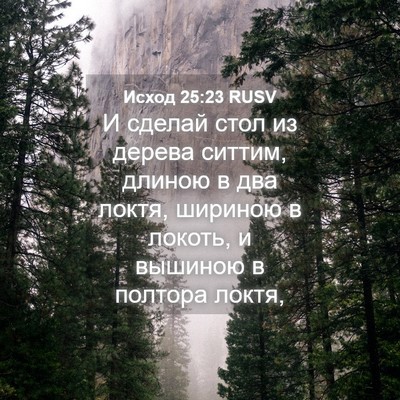 Picture 04 - Исход 25:23 RUSV - И сделай стол из дерева - Bible Verse Picture