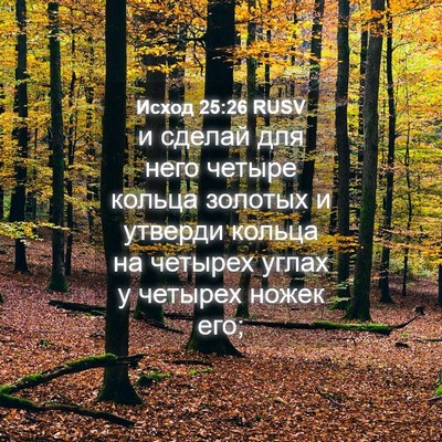 Picture 04 - Исход 25:26 RUSV - и сделай для него четыре - Bible Verse Picture