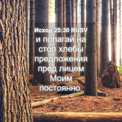 Picture 04 - Исход 25:30 RUSV - и полагай на стол хлебы - Bible Verse Picture