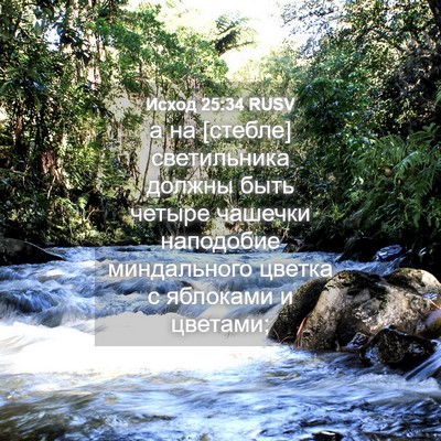 Picture 04 - Исход 25:34 RUSV - а на [стебле] светильника - Bible Verse Picture