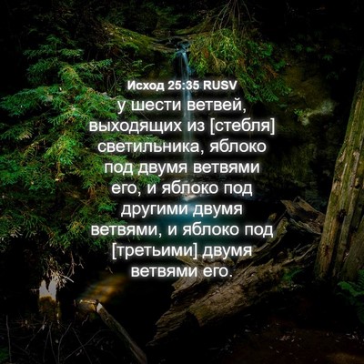 Picture 04 - Исход 25:35 RUSV - у шести ветвей, выходящих - Bible Verse Picture
