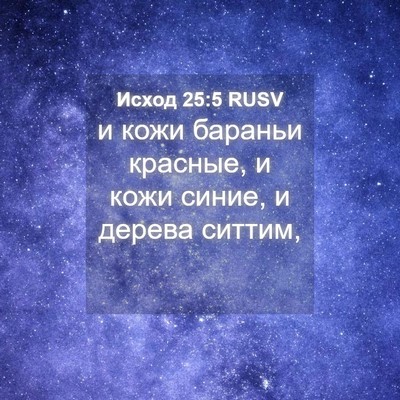 Picture 04 - Исход 25:5 RUSV - и кожи бараньи красные, и - Bible Verse Picture