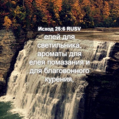 Picture 04 - Исход 25:6 RUSV - елей для светильника, - Bible Verse Picture