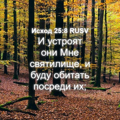 Picture 04 - Исход 25:8 RUSV - И устроят они Мне - Bible Verse Picture