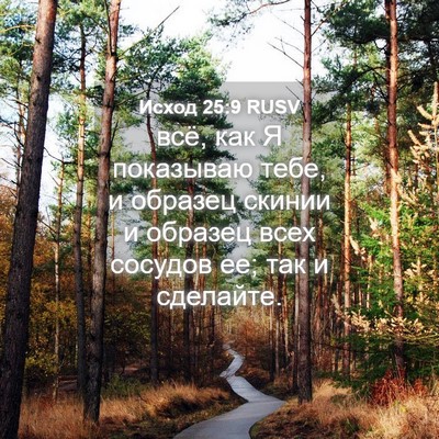 Picture 04 - Исход 25:9 RUSV - всё, как Я показываю тебе, и - Bible Verse Picture