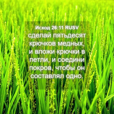 Picture 04 - Исход 26:11 RUSV - сделай пятьдесят крючков - Bible Verse Picture