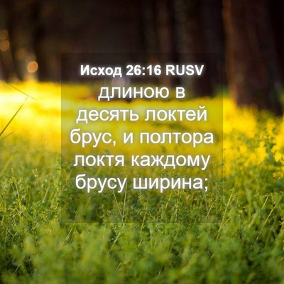 Picture 04 - Исход 26:16 RUSV - длиною в десять локтей - Bible Verse Picture