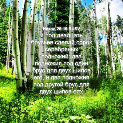 Picture 04 - Исход 26:19 RUSV - и под двадцать брусьев - Bible Verse Picture