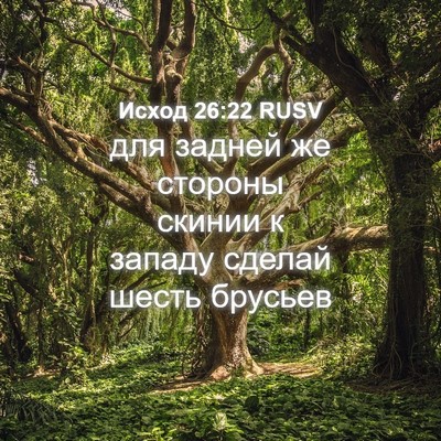 Picture 04 - Исход 26:22 RUSV - для задней же стороны - Bible Verse Picture