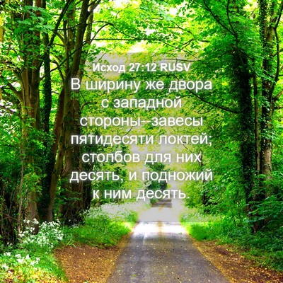 Picture 04 - Исход 27:12 RUSV - В ширину же двора с - Bible Verse Picture