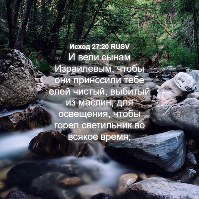 Picture 04 - Исход 27:20 RUSV - И вели сынам Израилевым, - Bible Verse Picture