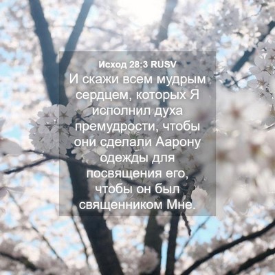 Picture 04 - Исход 28:3 RUSV - И скажи всем мудрым - Bible Verse Picture