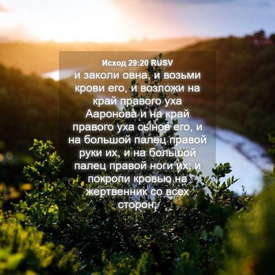 Picture 04 - Исход 29:20 RUSV - и заколи овна, и возьми - Bible Verse Picture