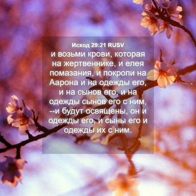 Picture 04 - Исход 29:21 RUSV - и возьми крови, которая на - Bible Verse Picture