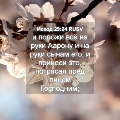 Picture 04 - Исход 29:24 RUSV - и положи всё на руки Аарону - Bible Verse Picture