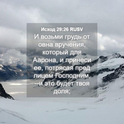 Picture 04 - Исход 29:26 RUSV - И возьми грудь от овна - Bible Verse Picture