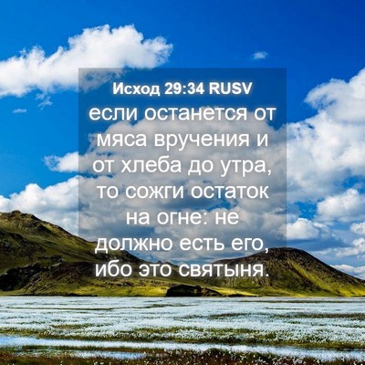 Picture 04 - Исход 29:34 RUSV - если останется от мяса - Bible Verse Picture