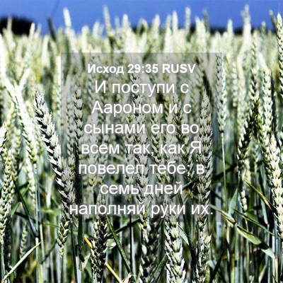 Picture 04 - Исход 29:35 RUSV - И поступи с Аароном и с - Bible Verse Picture