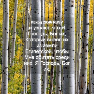 Picture 04 - Исход 29:46 RUSV - и узнают, что Я Господь, Бог - Bible Verse Picture