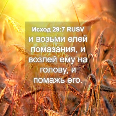 Picture 04 - Исход 29:7 RUSV - и возьми елей помазания, и - Bible Verse Picture