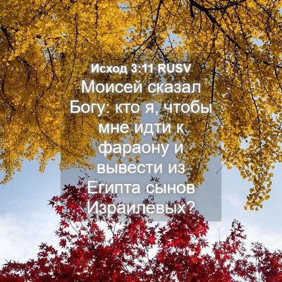 Picture 04 - Исход 3:11 RUSV - Моисей сказал Богу: кто я, - Bible Verse Picture