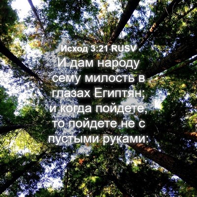 Picture 04 - Исход 3:21 RUSV - И дам народу сему милость в - Bible Verse Picture
