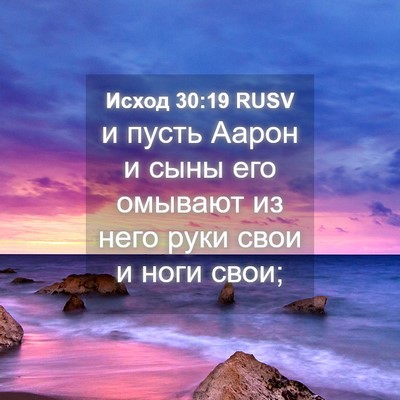 Picture 04 - Исход 30:19 RUSV - и пусть Аарон и сыны его - Bible Verse Picture