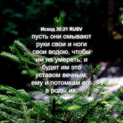 Picture 04 - Исход 30:21 RUSV - пусть они омывают руки - Bible Verse Picture