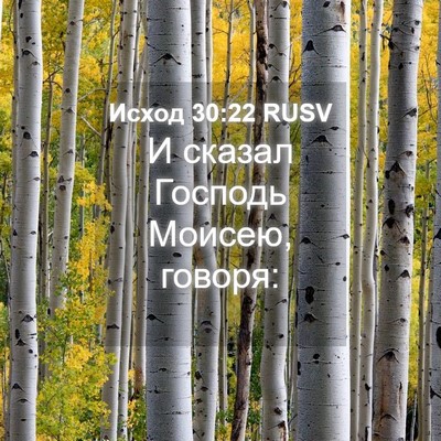 Picture 04 - Исход 30:22 RUSV - И сказал Господь Моисею, - Bible Verse Picture