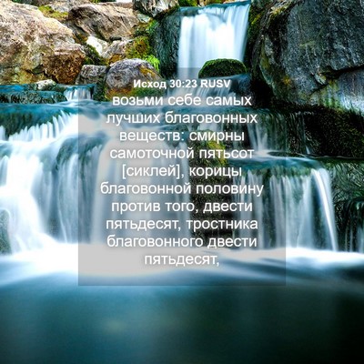Picture 04 - Исход 30:23 RUSV - возьми себе самых лучших - Bible Verse Picture