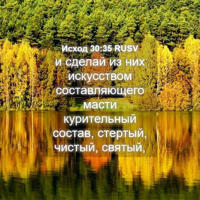Picture 04 - Исход 30:35 RUSV - и сделай из них искусством - Bible Verse Picture