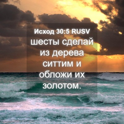 Picture 04 - Исход 30:5 RUSV - шесты сделай из дерева - Bible Verse Picture