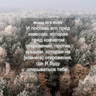 Picture 04 - Исход 30:6 RUSV - И поставь его пред завесою, - Bible Verse Picture