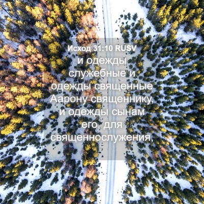 Picture 04 - Исход 31:10 RUSV - и одежды служебные и - Bible Verse Picture