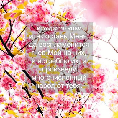 Picture 04 - Исход 32:10 RUSV - итак оставь Меня, да - Bible Verse Picture