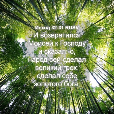 Picture 04 - Исход 32:31 RUSV - И возвратился Моисей к - Bible Verse Picture