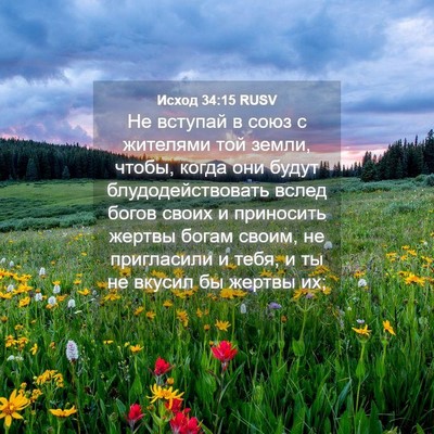 Picture 04 - Исход 34:15 RUSV - Не вступай в союз с - Bible Verse Picture
