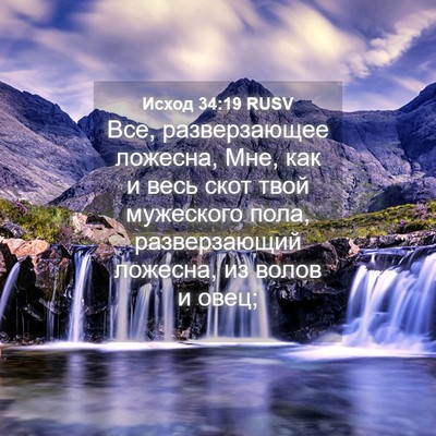 Picture 04 - Исход 34:19 RUSV - Все, разверзающее ложесна, - Bible Verse Picture