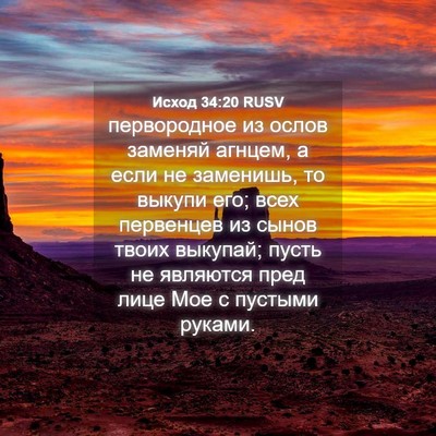Picture 04 - Исход 34:20 RUSV - первородное из ослов - Bible Verse Picture
