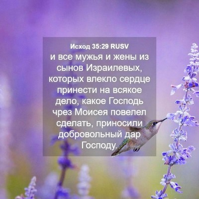 Picture 04 - Исход 35:29 RUSV - и все мужья и жены из сынов - Bible Verse Picture