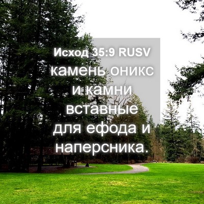 Picture 04 - Исход 35:9 RUSV - камень оникс и камни - Bible Verse Picture