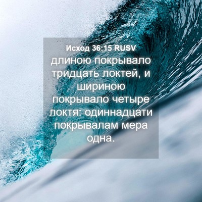 Picture 04 - Исход 36:15 RUSV - длиною покрывало тридцать - Bible Verse Picture